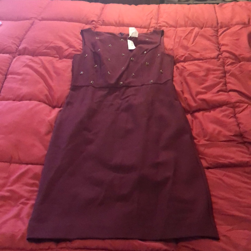 Dark purple color Gold & black studded front